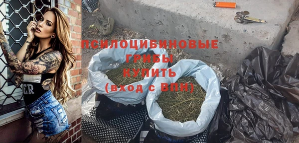 индика Аркадак