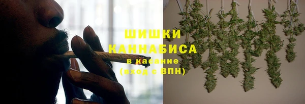 индика Аркадак