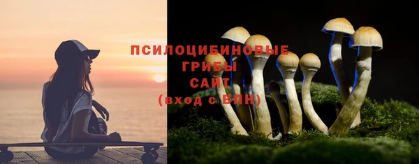 индика Аркадак