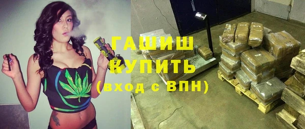 индика Аркадак