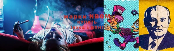 индика Аркадак