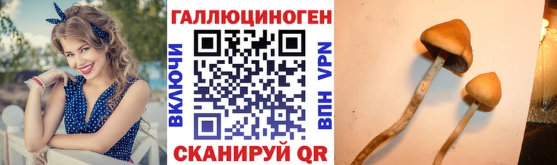 Псилоцибиновые грибы мицелий  Полярные Зори 